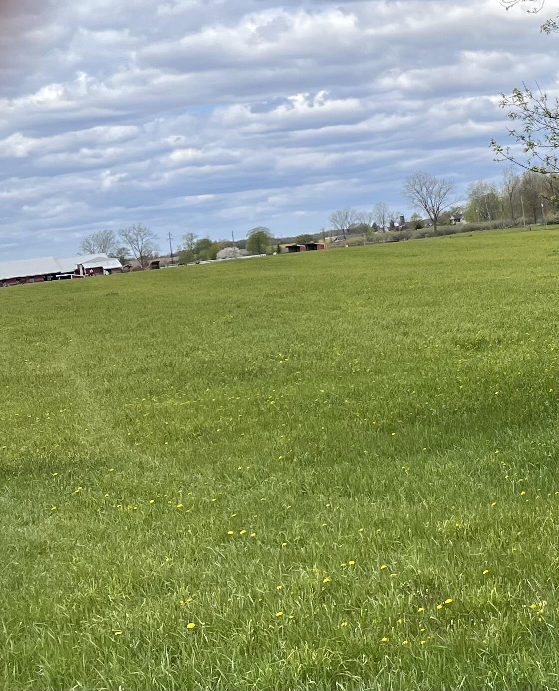 C Howard City Edmore Road Lakeview, MI 48850 - Photo 1 of 1 flat land