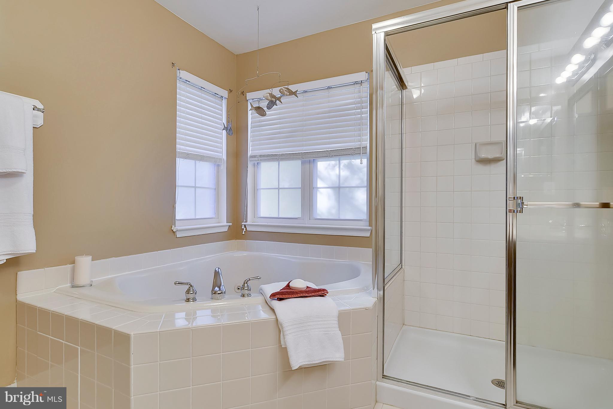 1270 Wild Hawthorn Way Reston, VA 20194 - Photo 14 of 26 Bath (Master)
