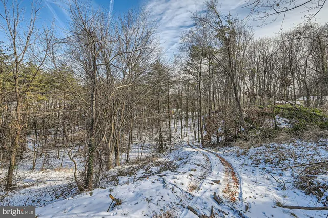 a view of outdoor space and yard