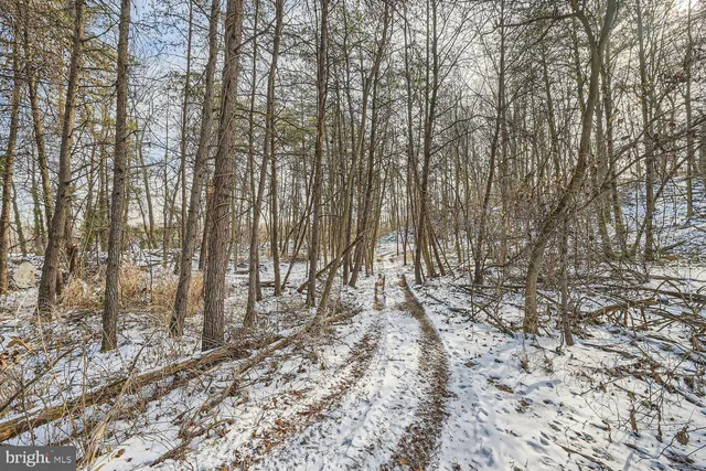 a view of small yard