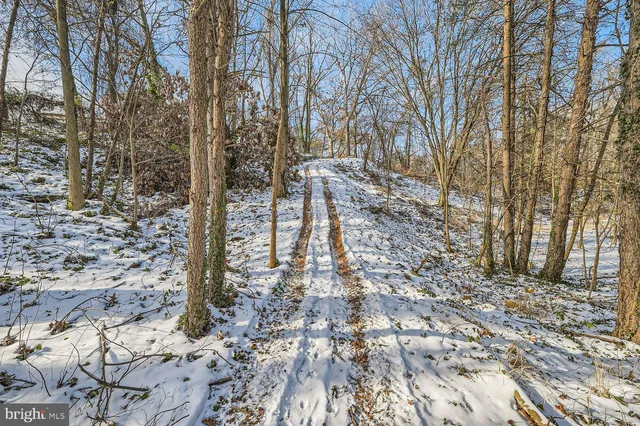 a backyard of a building