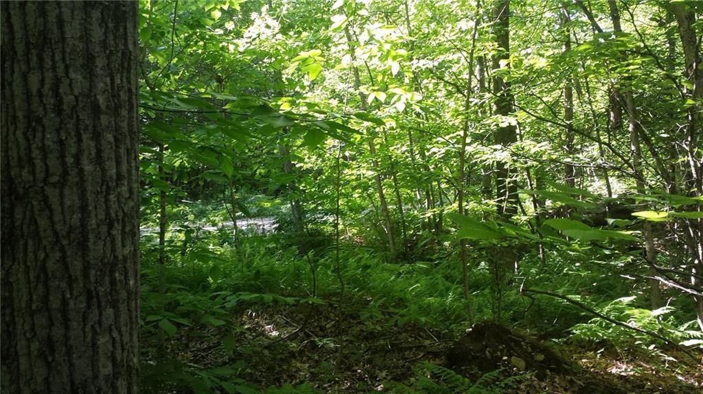 0 Sodom Road Buckfield, ME 04220 - Photo 27 of 27 Photo