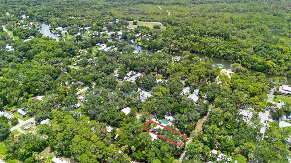 11 62nd Street Yankeetown, FL 34498 - Photo 5 of 33 a view of a lush green forest