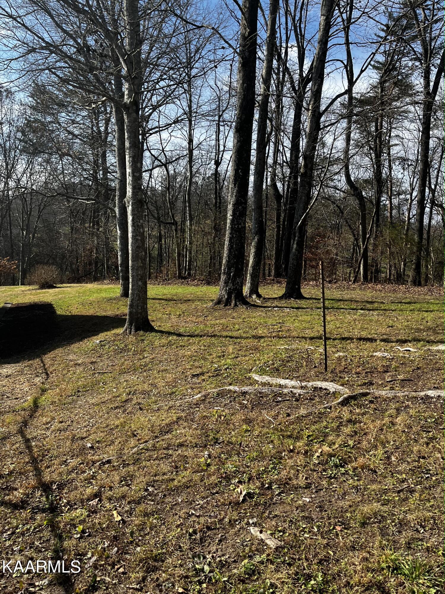 438 Miller Road Clinton, TN 37716 - Photo 20 of 44 yard