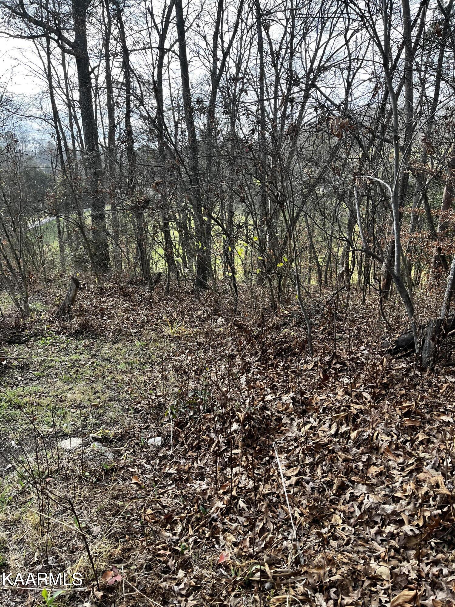 438 Miller Road Clinton, TN 37716 - Photo 21 of 44 going down side of driveway