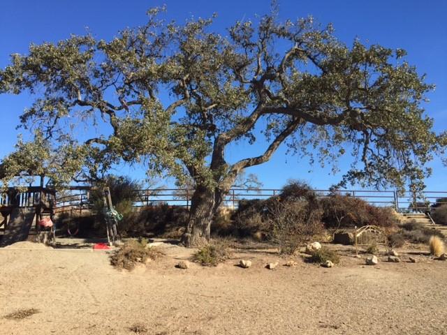 3050 Figueroa Mountain Road Los Olivos, CA 93441 - Photo 8 of 12 a view of snow on the side of a road
