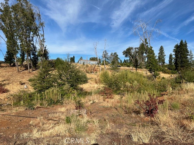5709 Middle Libby Road Paradise, CA 95969 - Photo 2 of 8