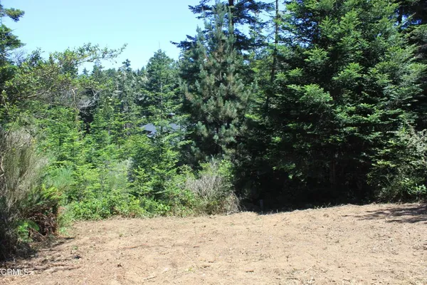 a view of a yard covered with snow in outdoor space