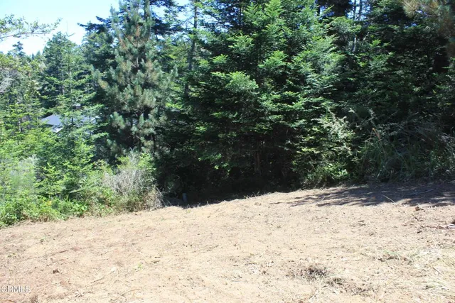 a view of a yard covered in snow