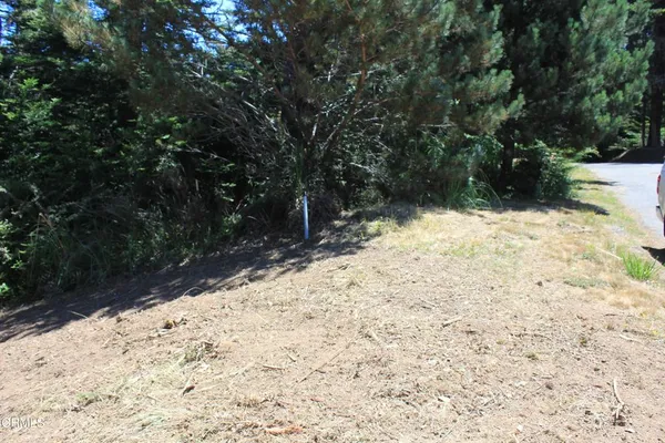 a view of a yard covered in snow
