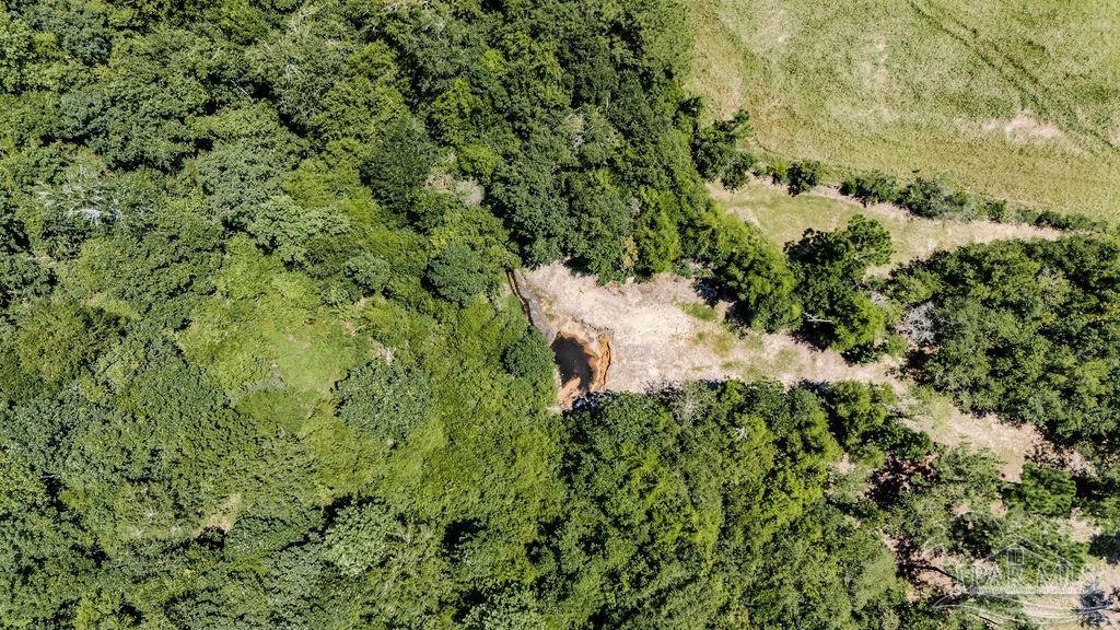 638 Ard Field Road Jay, FL 32565 - Photo 29 of 39 a view of a house with a lush green forest