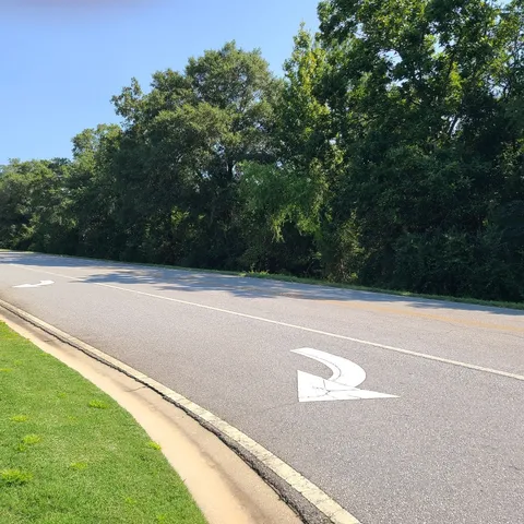 a view of a field with trees in the background
