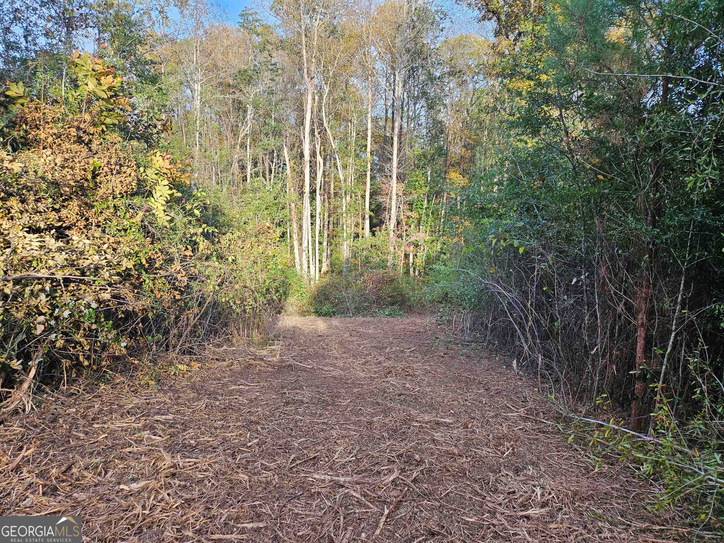 2-xx Airport Road Perry, GA 31069 - Photo 3 of 8 a view of a yard with plants and large trees