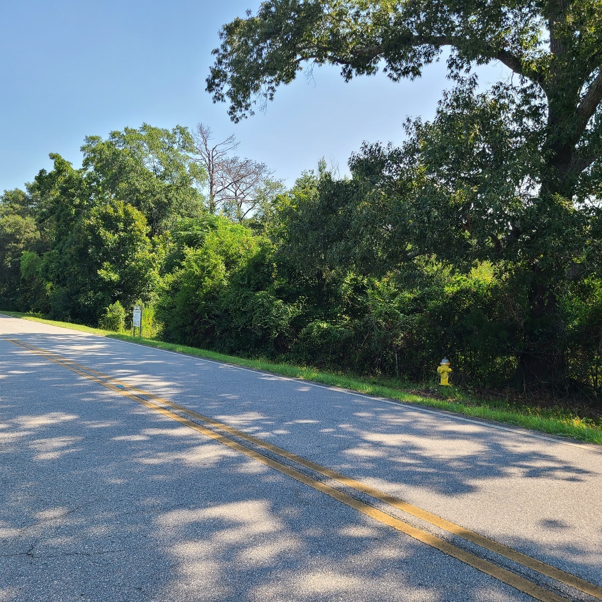2-xx Airport Road Perry, GA 31069 - Photo 7 of 8 a view of a street