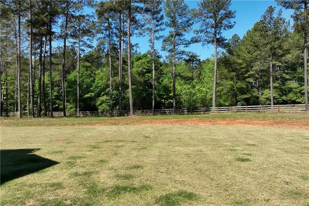 270 Indian Creek Road Good Hope, GA 30641 - Photo 53 of 67