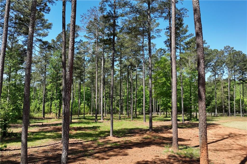 270 Indian Creek Road Good Hope, GA 30641 - Photo 54 of 67