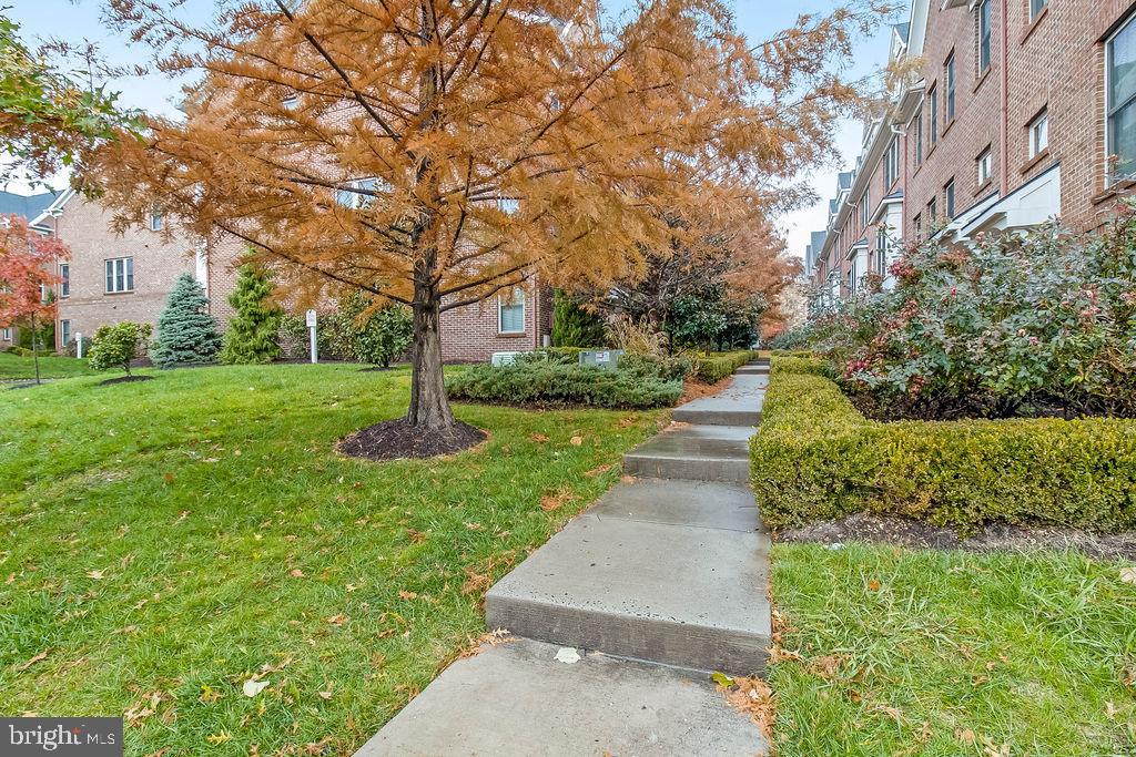 3347 Kemper Road Arlington, VA 22206 - Photo 2 of 23 Walkway Leading to the Townhomes