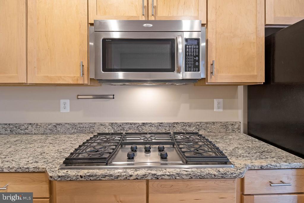 3347 Kemper Road Arlington, VA 22206 - Photo 7 of 23 Gas Cooking