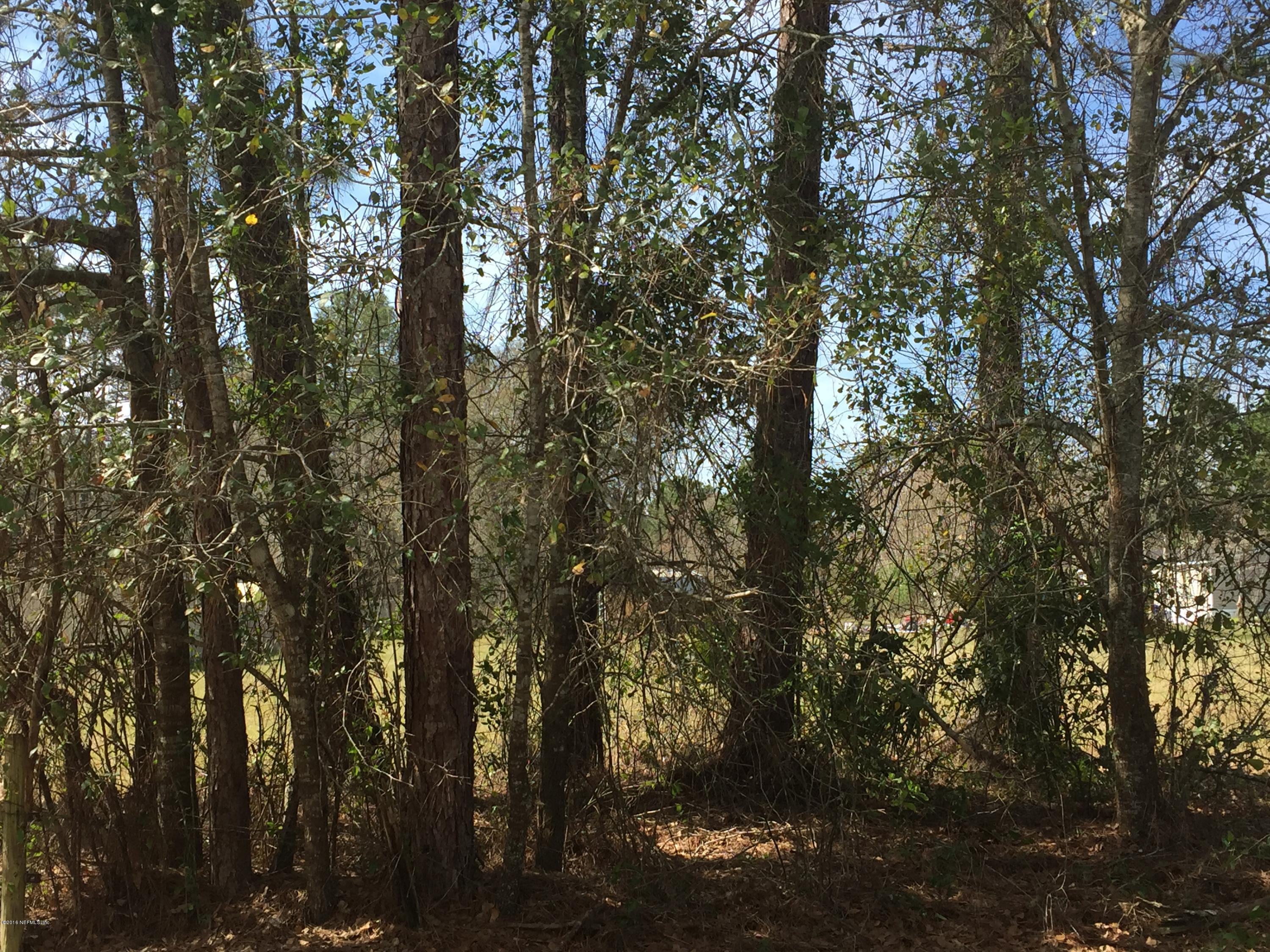 0 Scott Road St. Johns, FL 32259 - Photo 1 of 5 IMG_6388