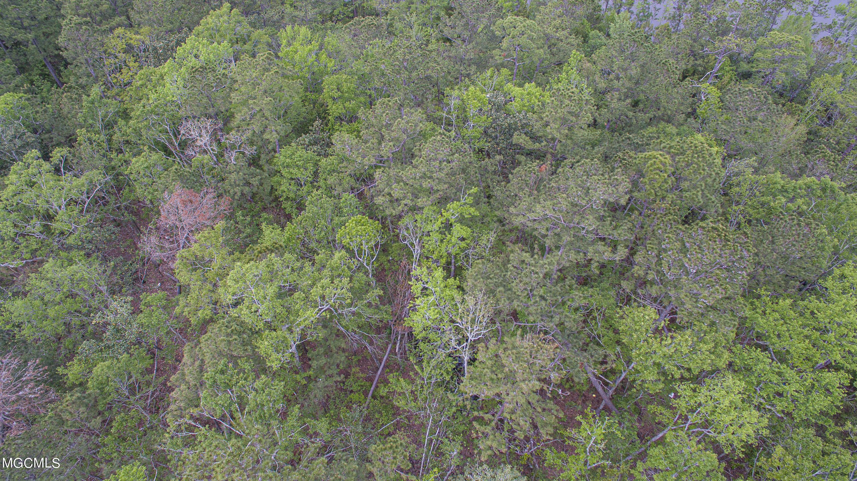 0 Road 536 Biloxi, MS 39532 - Photo 6 of 6 Road 536