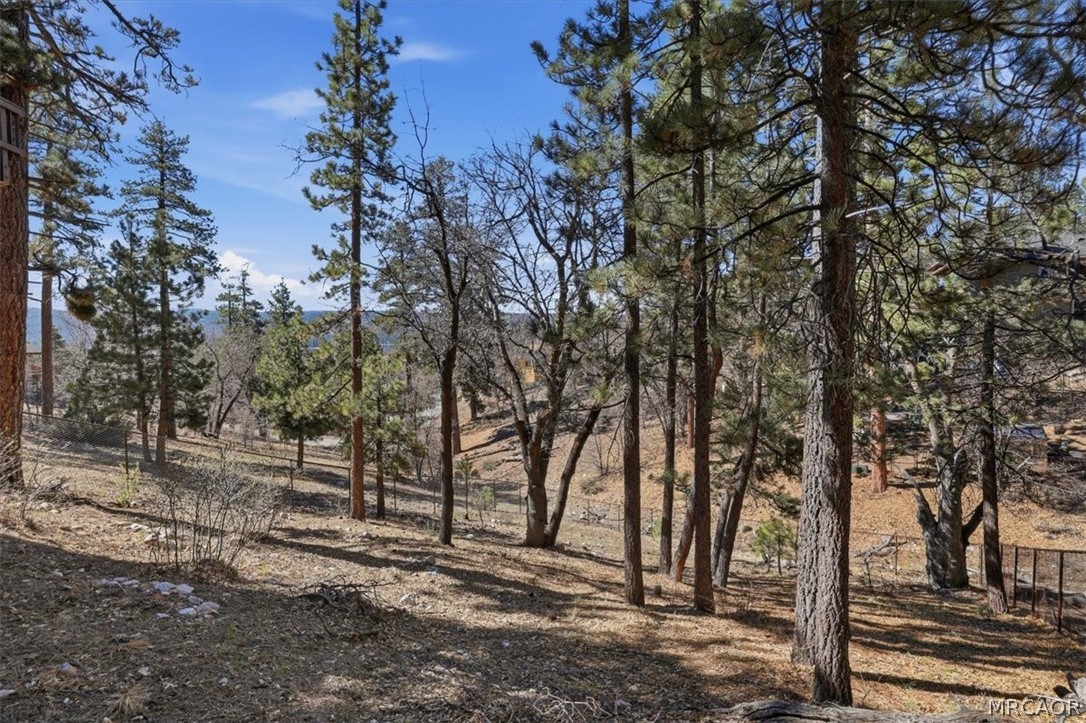 1146 Ridge Road Fawnskin, CA 92333 - Photo 19 of 34 a view of a forest with trees