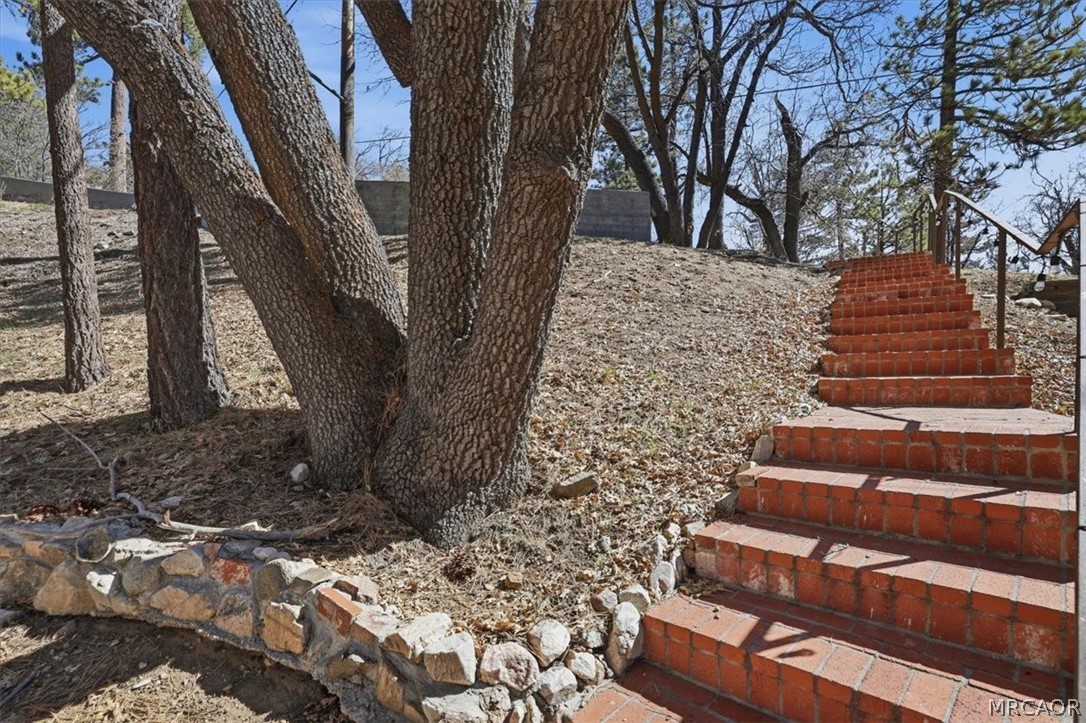 1146 Ridge Road Fawnskin, CA 92333 - Photo 20 of 34 a view of a yard with plants and trees