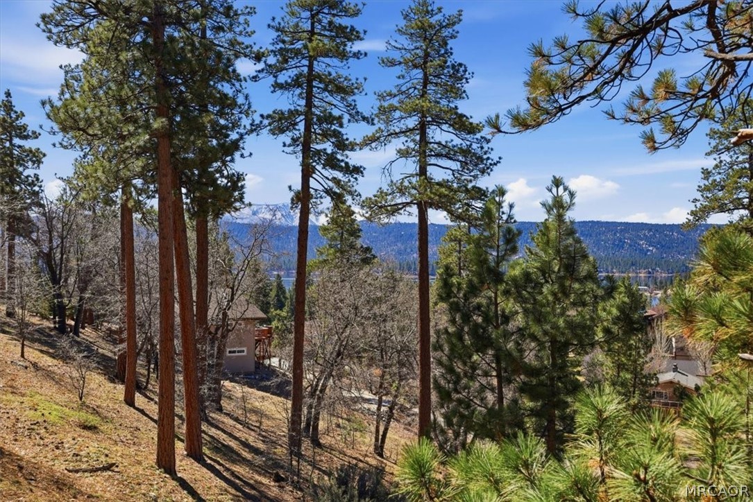 1146 Ridge Road Fawnskin, CA 92333 - Photo 23 of 34 a view of a house with a tree