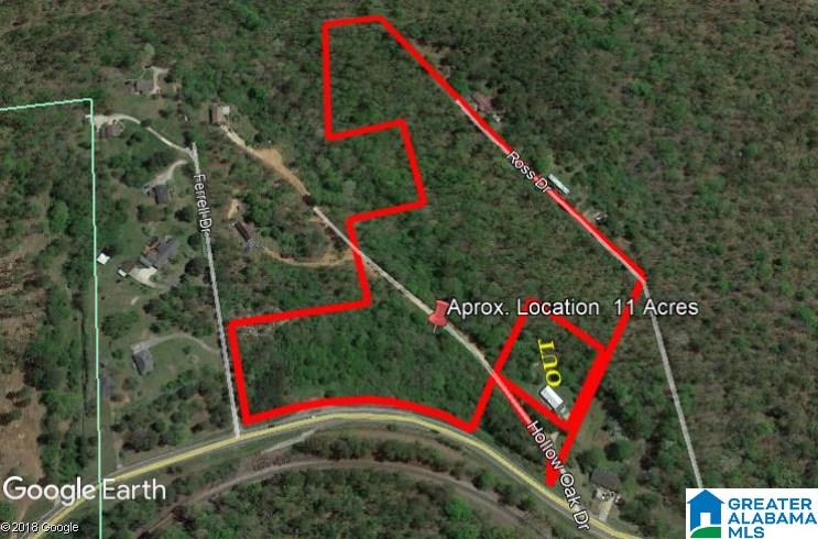 11-acres Morgan Road, Unit 11 ACRES Helena, AL 35022 - Photo 1 of 11