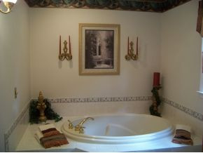 528 Fire Tower Road Mountain City, TN 37683 - Photo 8 of 12 GARDEN TUB IN MASTER