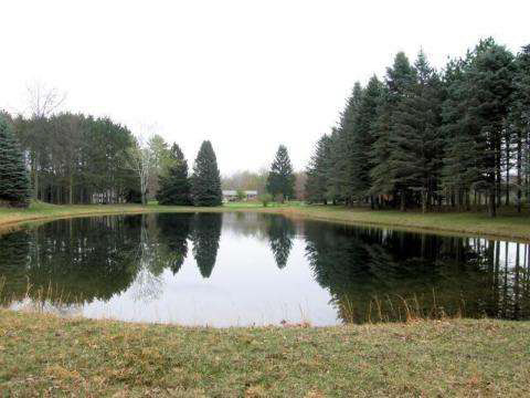 10350 Carr Road St. Charles, MI 48655 - Photo 3 of 12 20243482-2.JPG