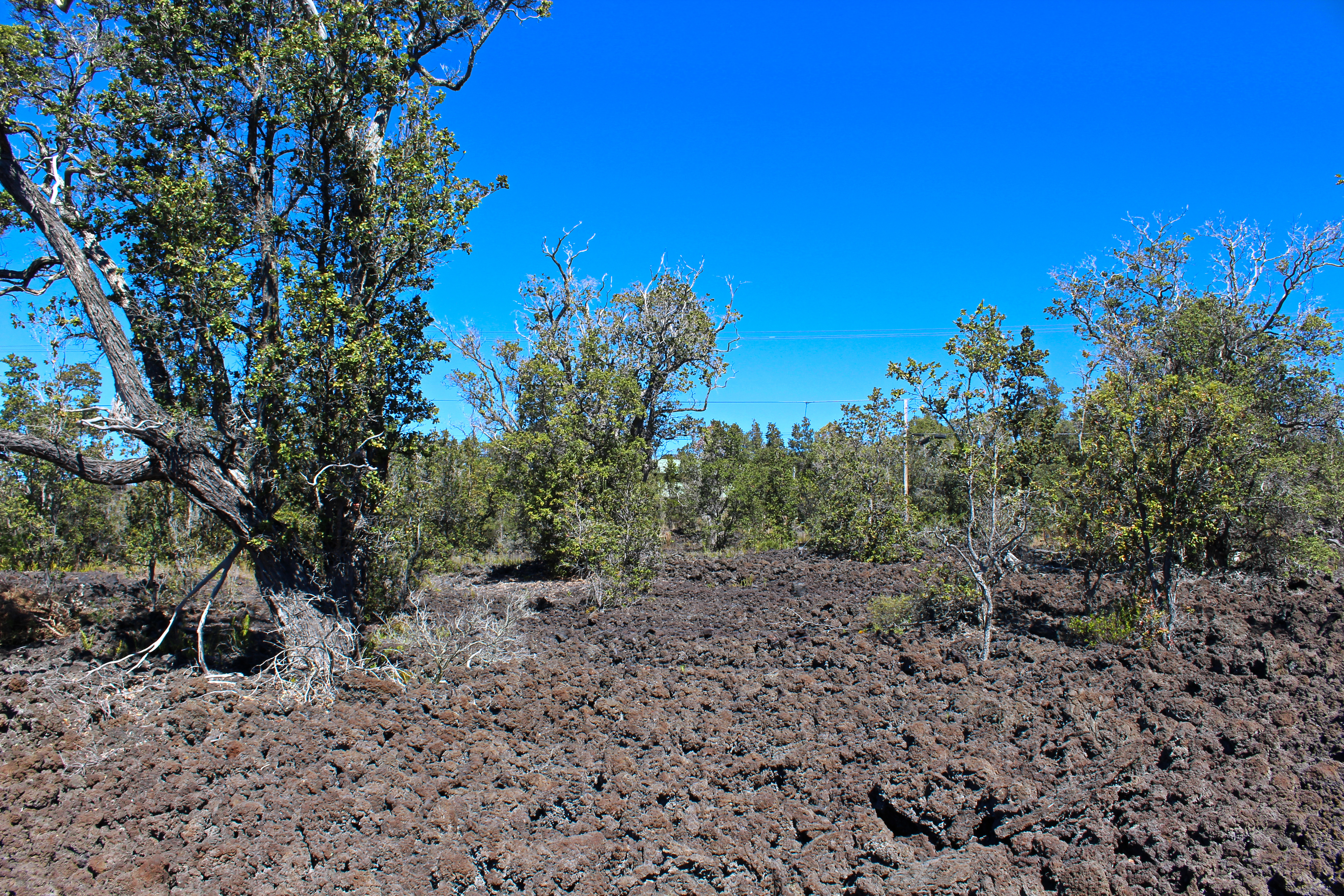 3 Aloha Boulevard Ocean View, HI 96737 - Photo 12 of 14 a view of a yard with a tree