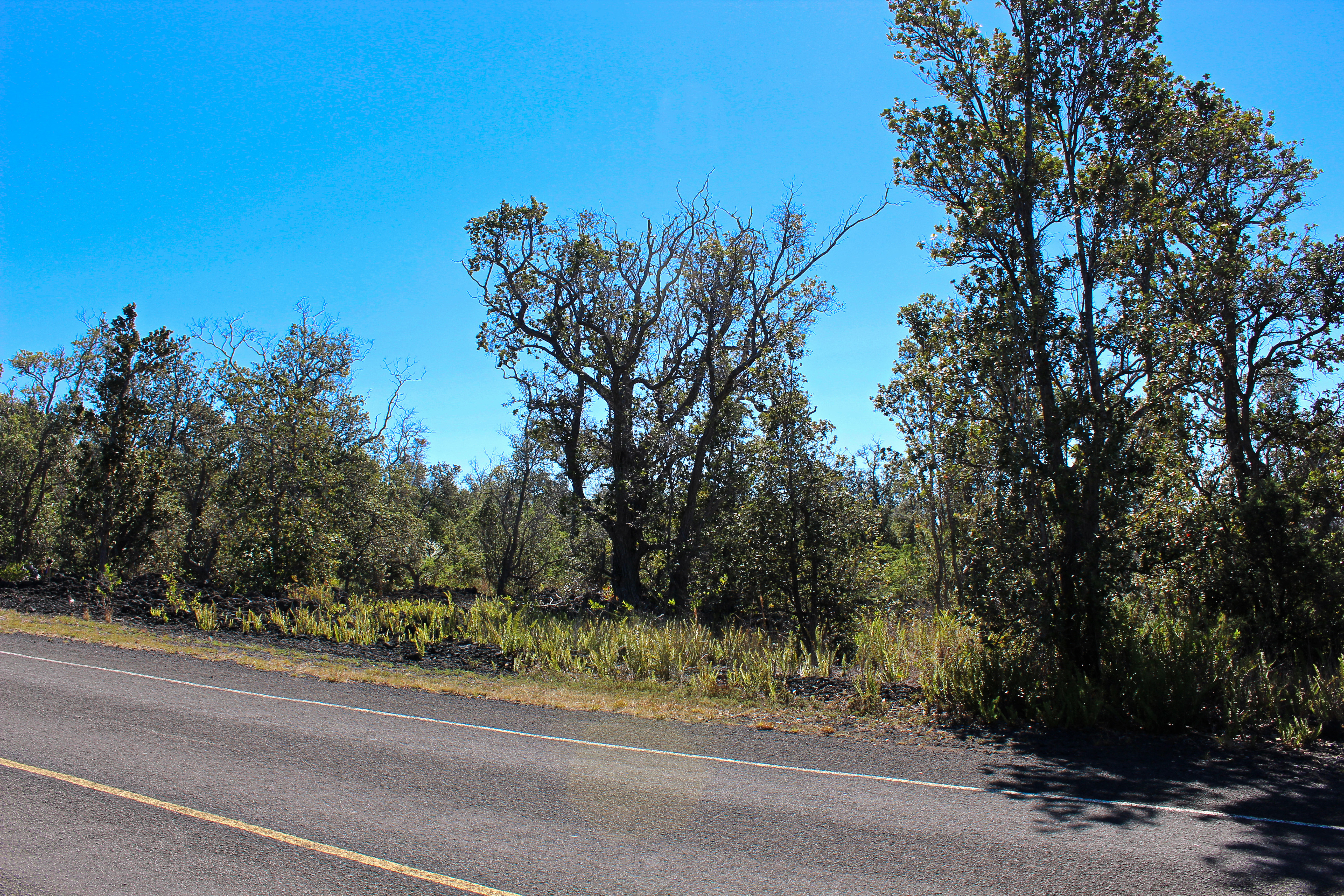 3 Aloha Boulevard Ocean View, HI 96737 - Photo 3 of 14 not sure