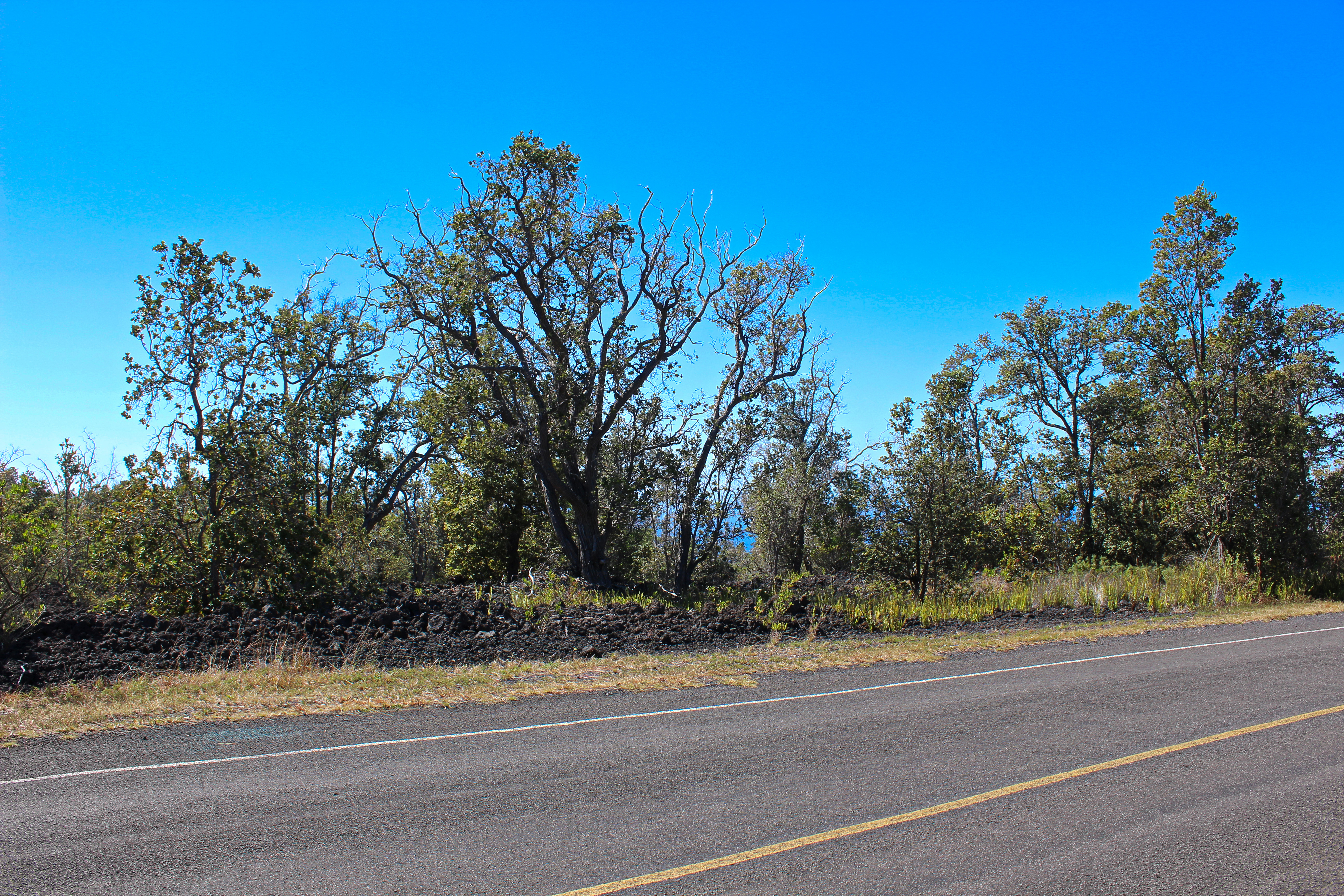 3 Aloha Boulevard Ocean View, HI 96737 - Photo 5 of 14 a view of a yard