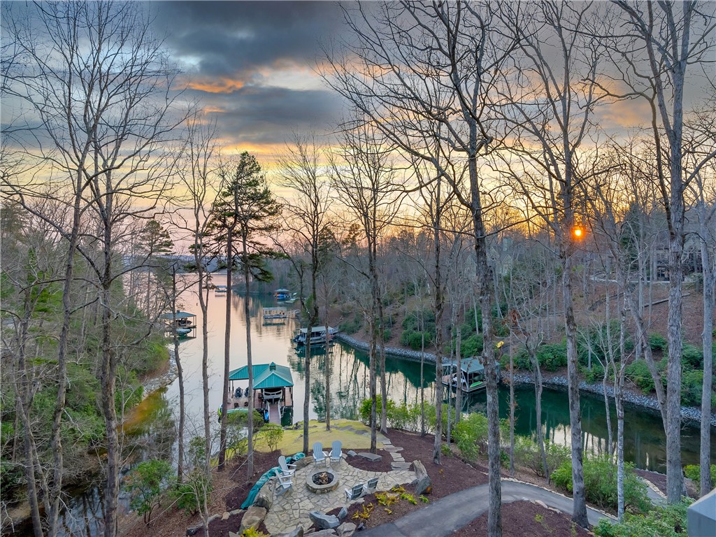 112 White Violet Way Sunset, SC 29685 - Photo 49 of 50