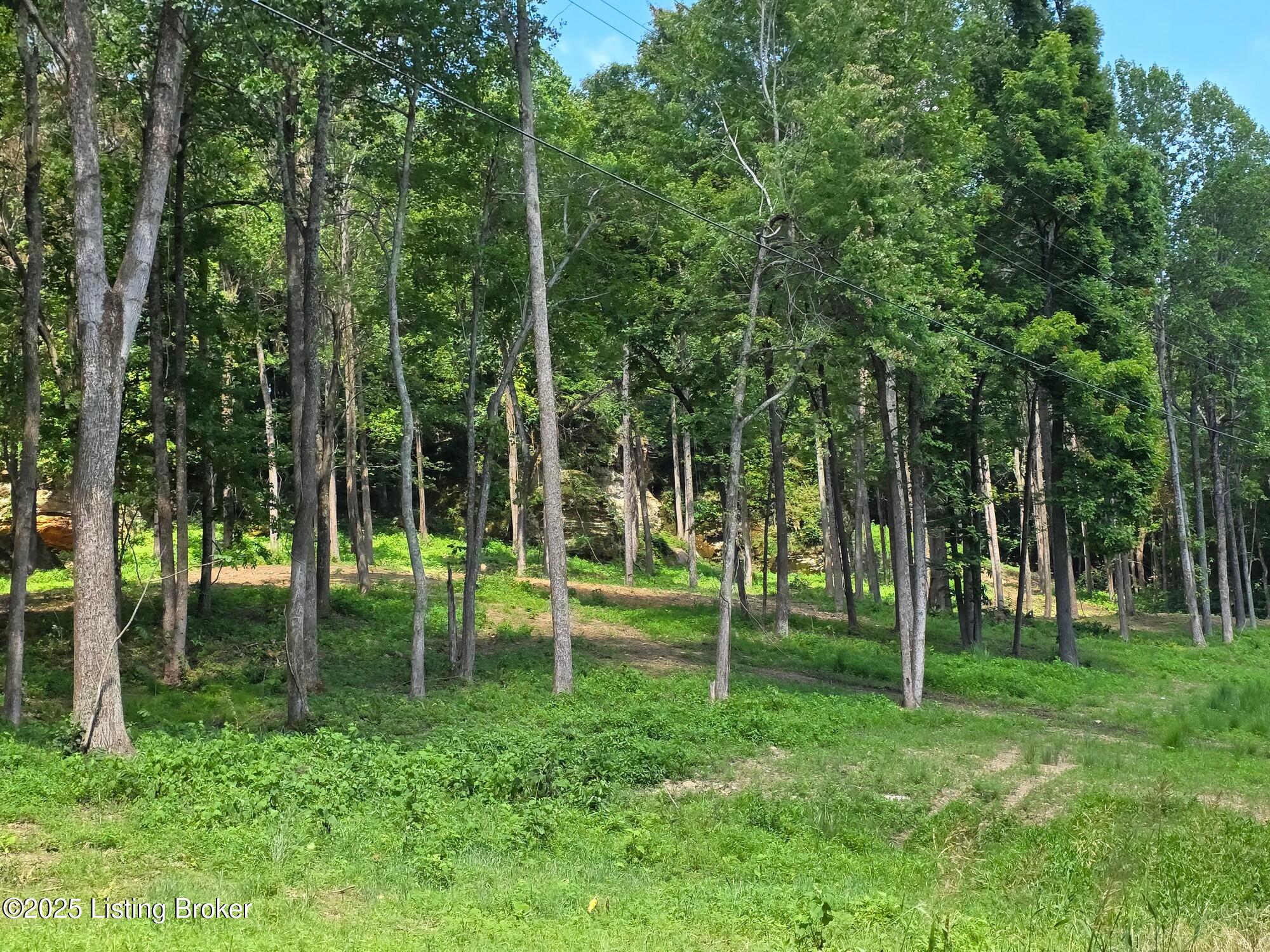 0 Cave Creek Road Falls Of Rough, KY 40119 - Photo 24 of 70 Entire Parcel (21)