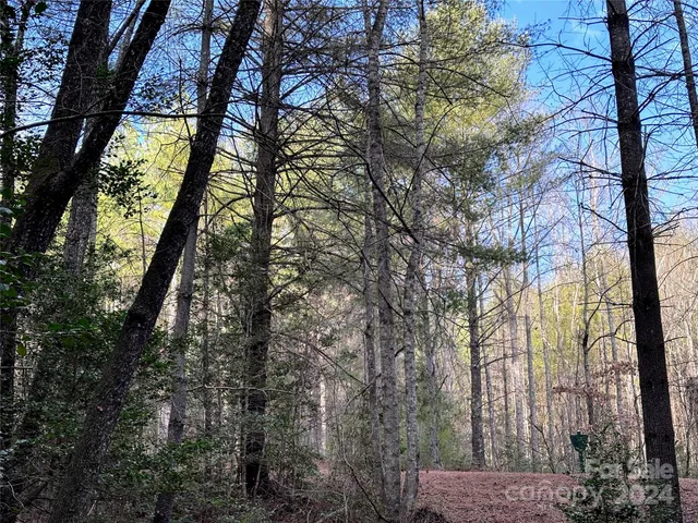 $29,000 | 0 Collette Ridge Circle, Unit 170, Collettsville, NC 28611