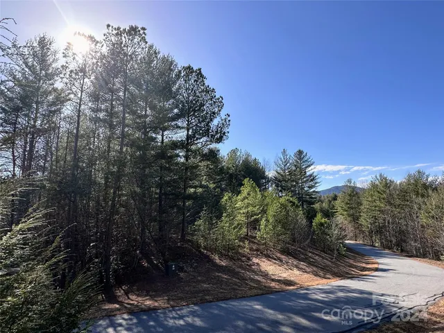 $29,000 | 0 Collette Ridge Circle, Unit 170, Collettsville, NC 28611