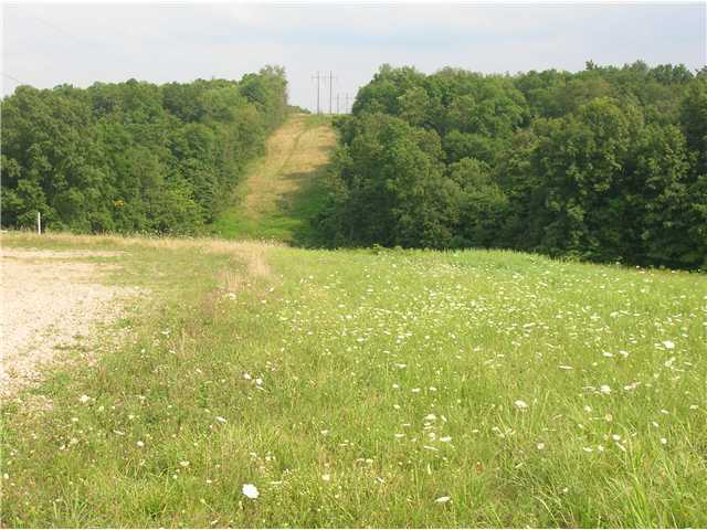 0 Deer Run Mount, Unit LOT 8 Mount Perry, OH 43760 - Photo 3 of 3