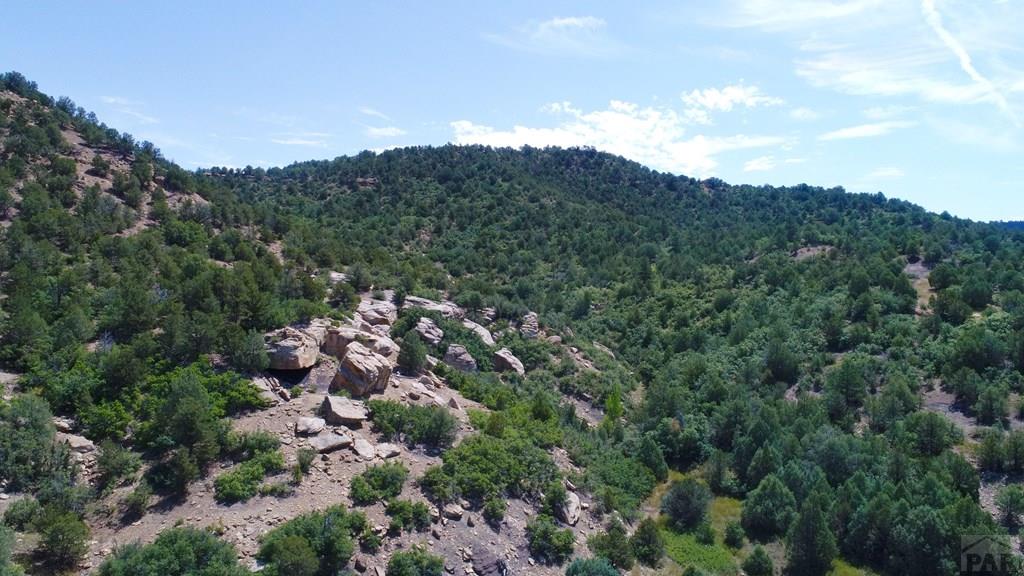 25850 River Pines Road Aguilar, CO 81020 - Photo 61 of 64