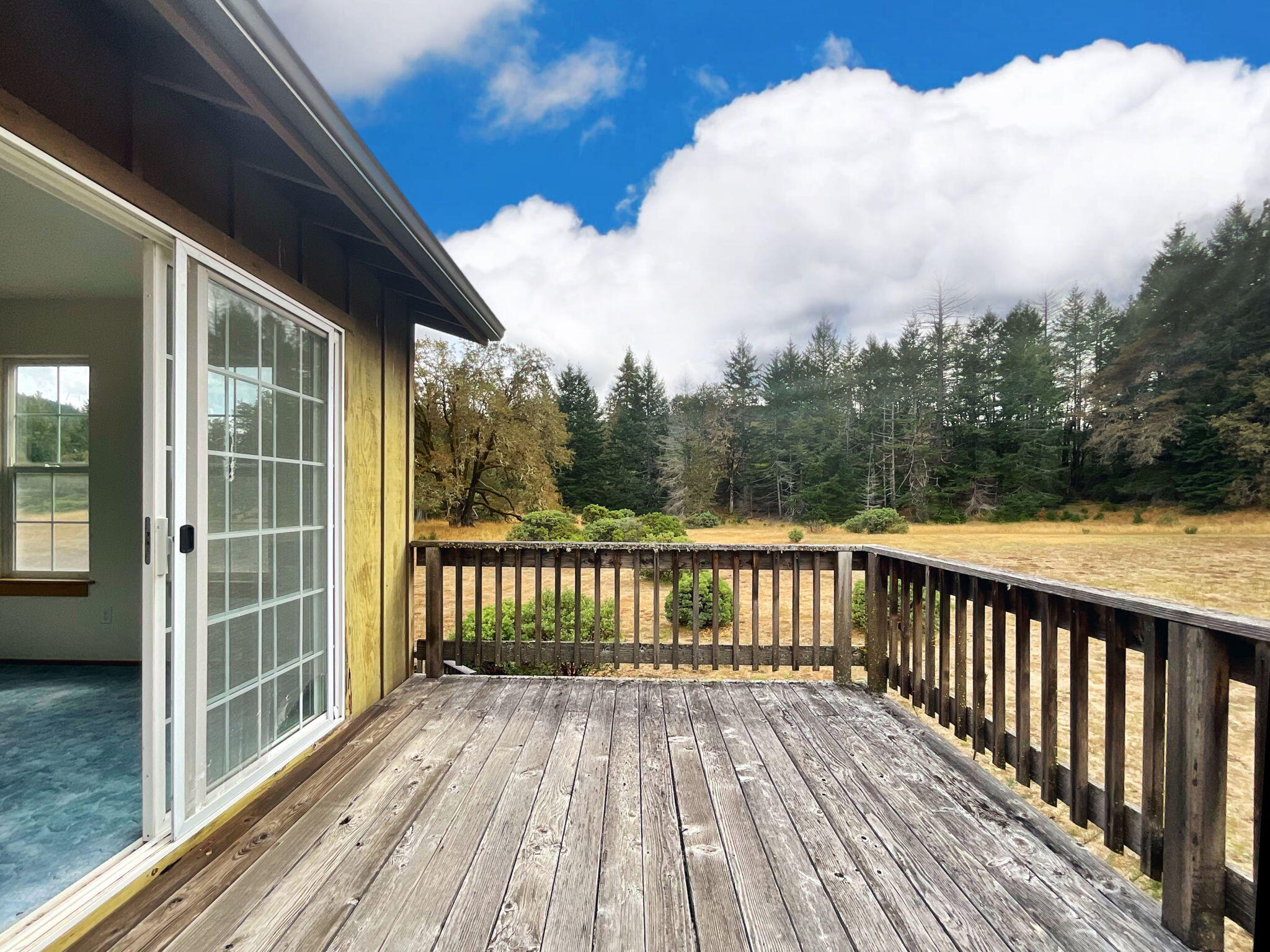 444 Newsome Road Bridgeville, CA 95526 - Photo 27 of 48