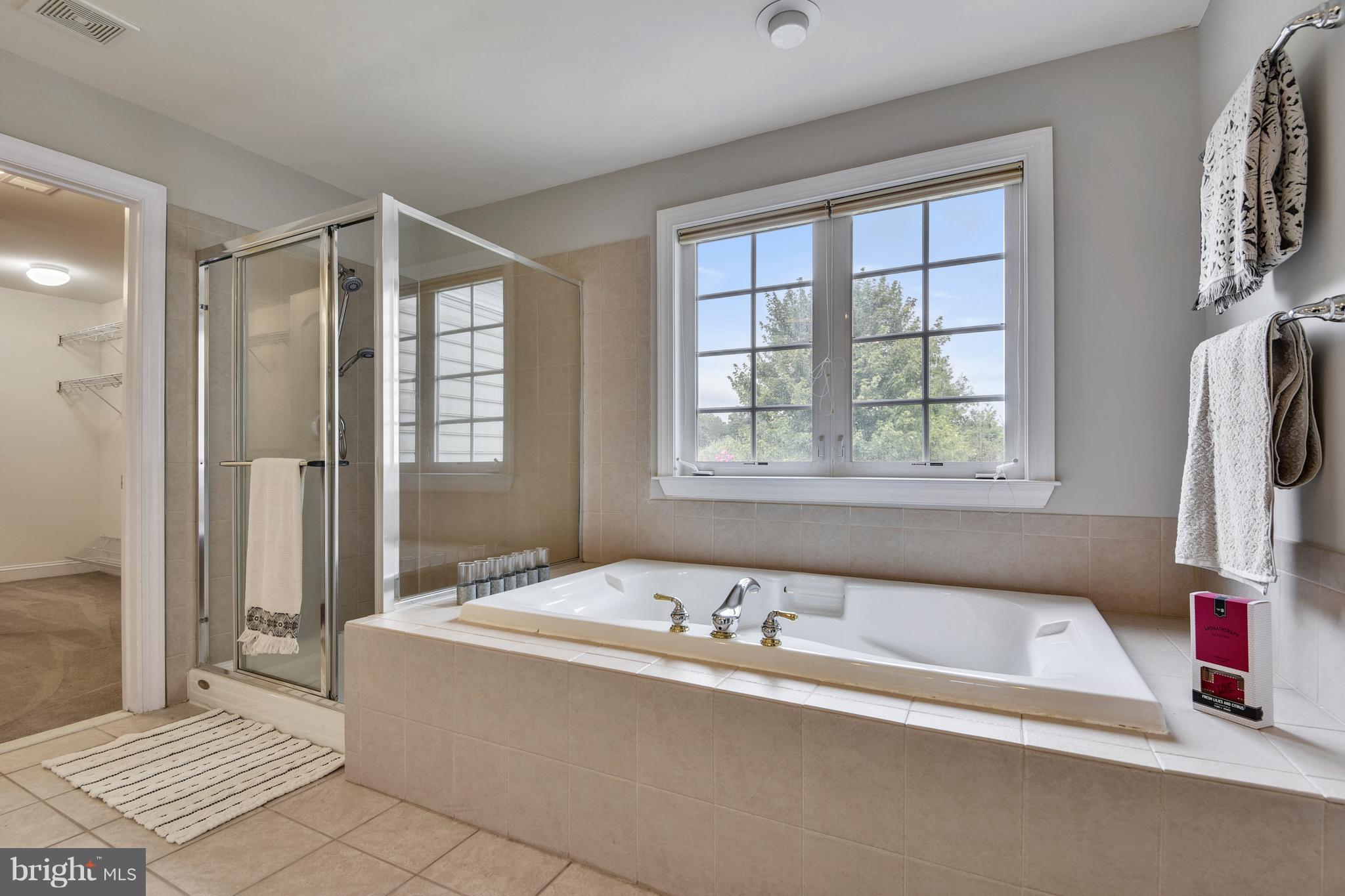 12607 Belmont Ridge Road Reisterstown, MD 21136 - Photo 17 of 28 Sep soak tub and shower and closets