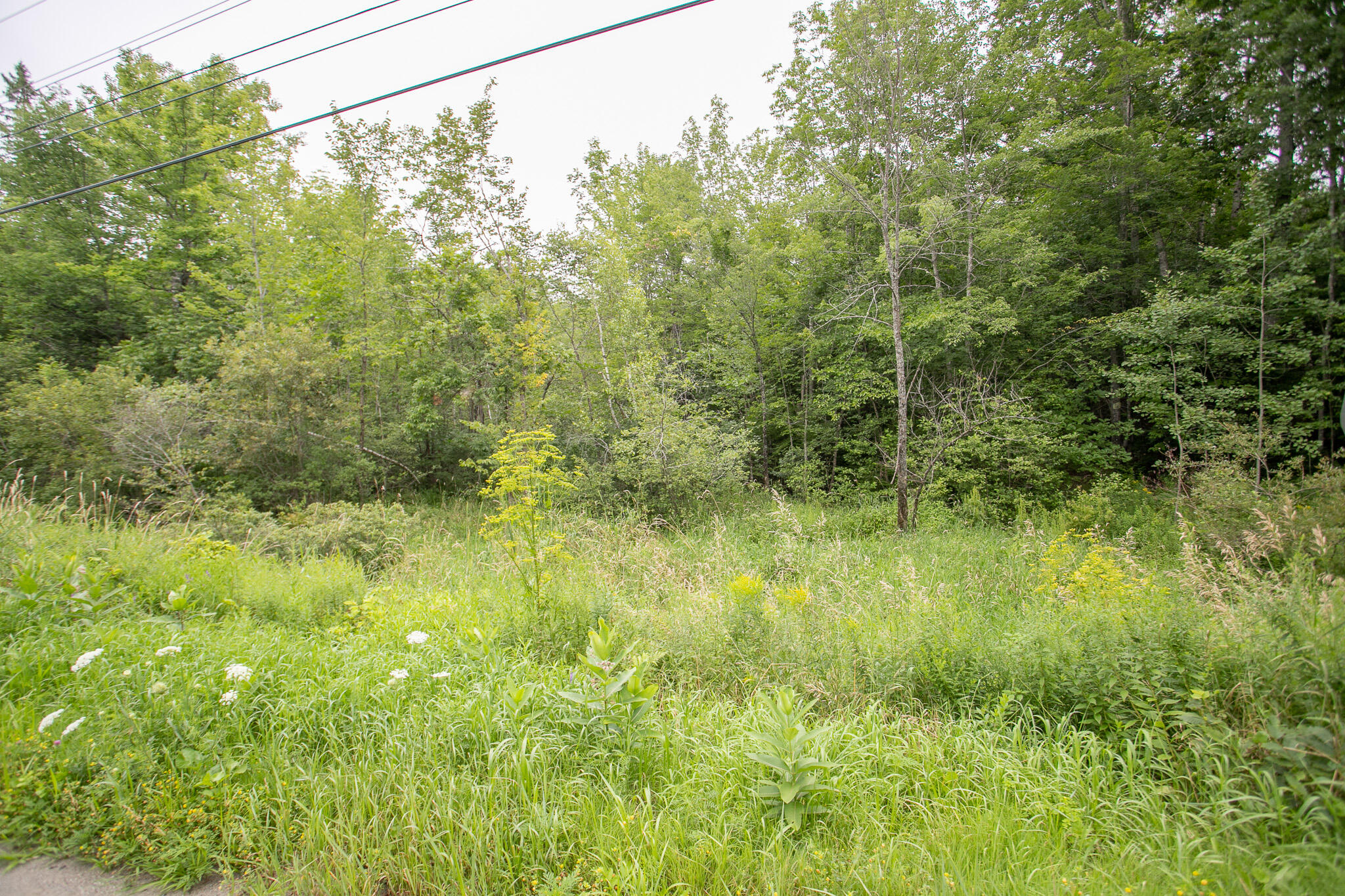 Lot 44-6 Five Road Carmel, ME 04419 - Photo 7 of 21 IMG_0480