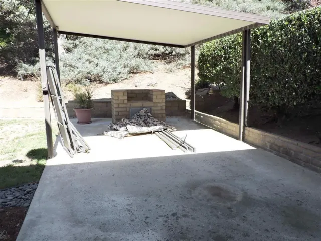 a view of a yard with plants and a large tree