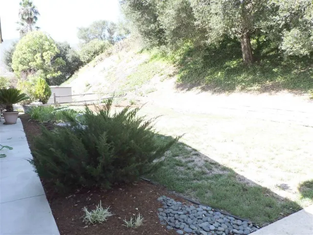 a view of a grassy field with an trees