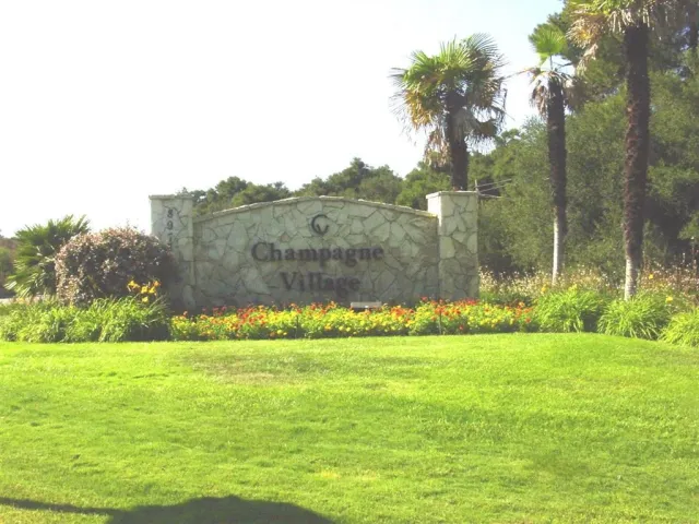 a view of a house with a big yard and large tree