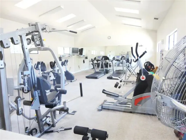 a view of a yard with yellow lighting