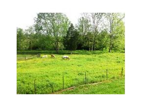 3710 Cherokee Road Jonesborough, TN 37659 - Photo 19 of 21 Pasture