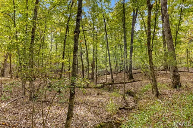 $120,000 | 2142 Meadow Valley Drive, Innsbrook, MO 63390