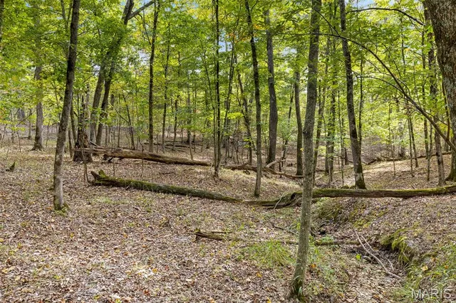 $120,000 | 2142 Meadow Valley Drive, Innsbrook, MO 63390