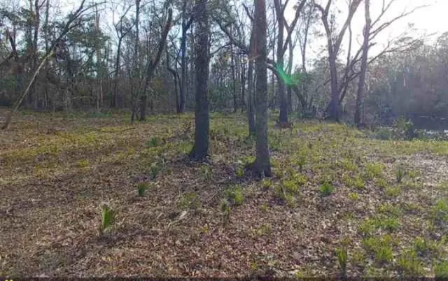 $129,999 | Southwest Dragon Way, Jasper, FL 32052